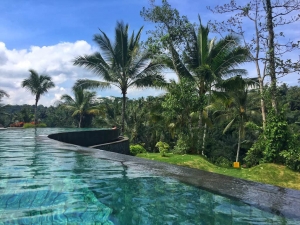 61 Bali hotels for sale in all across the islands